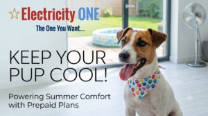 Beat the Texas Heat: Pawsome Ways to Keep Your Pup Cool Without Burning Through Cash